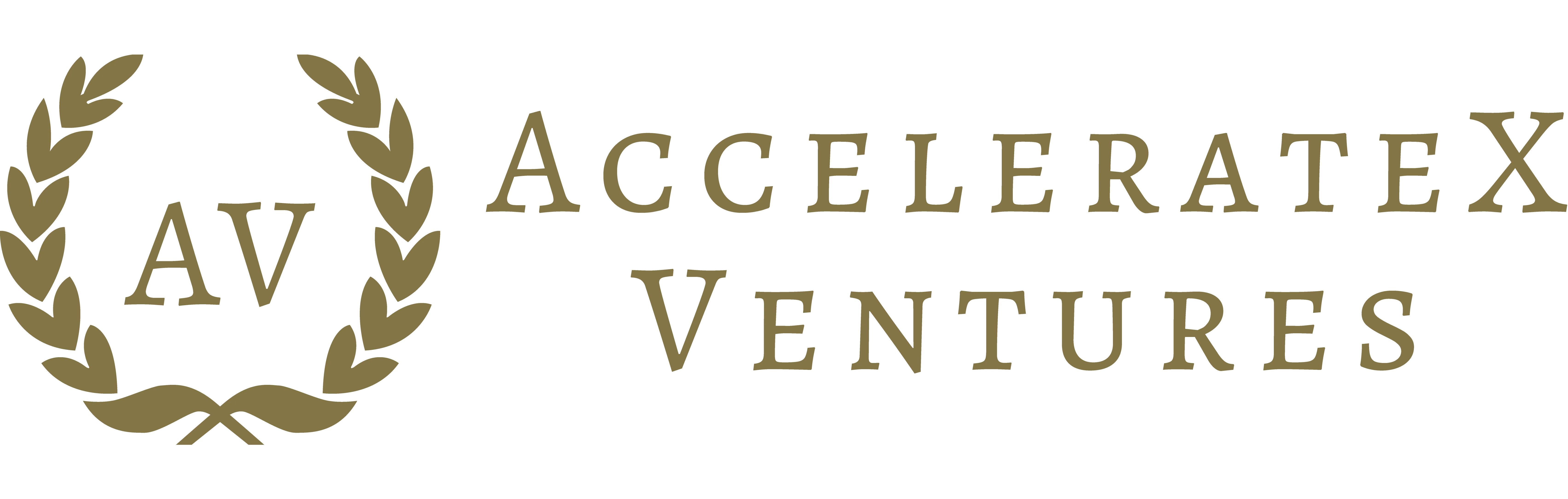 AccelerateX Ventures